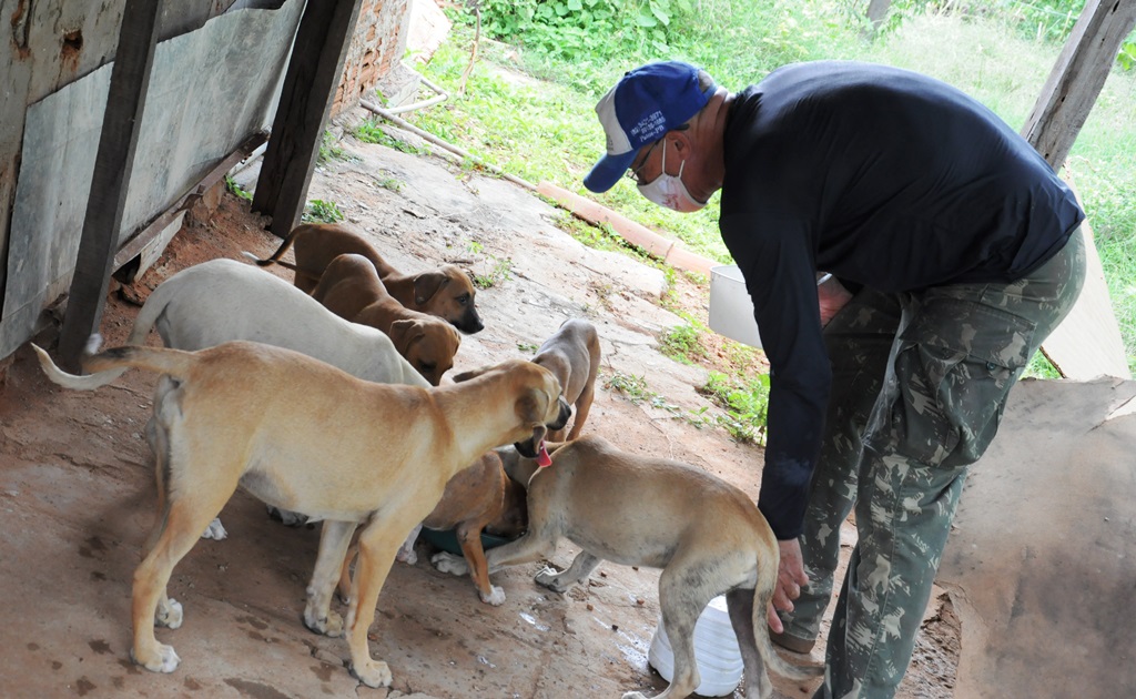 Em Patos, aposentado que cuida de animais de rua há 15 anos relata tristeza por falta de alimentos para cães e gatos abandonados
