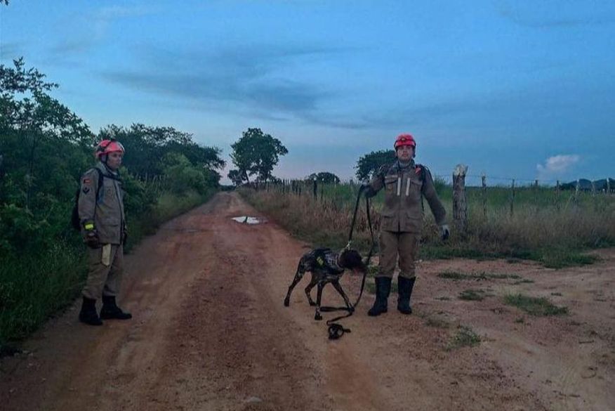 No Sertão: Cães do Corpo de Bombeiros auxiliam buscas de idoso desaparecido