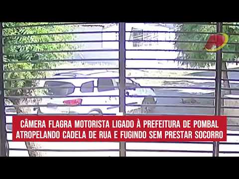 Motorista ligado à Prefeitura de Pombal atr0pela cadela de rua e foge sem prestar socorro