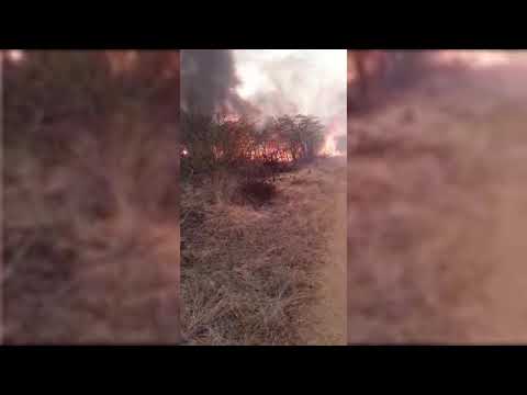 SERTÃO QUEIMA: Grande incêndio atinge vários municípios da região de Patos ao mesmo tempo