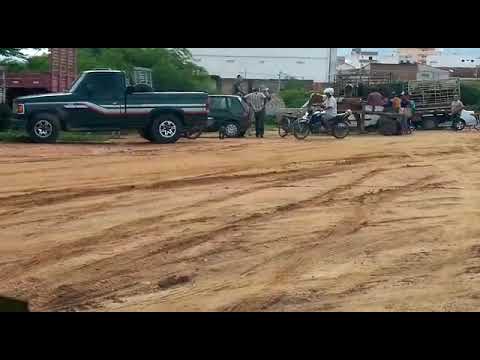 Internauta faz registro de feira de animais funcionando normalmente em Patos, nesta segunda (23)