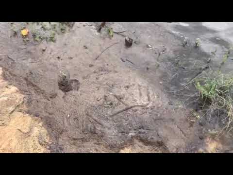 AÇUDE DO JATOBÁ EM PATOS SE RECUPERA APÓS LONGA ESTIAGEM