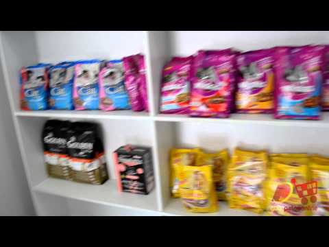 GUIA PATOSONLINE.COM - PET SHOP FILHOTES E CIA