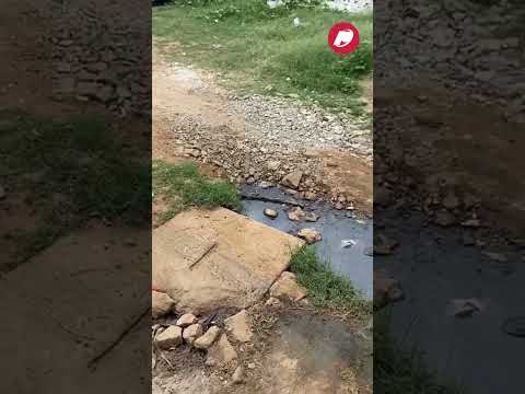 Morador do bairro Salgadinho cobra providências para galeria estourada; Prefeitura se pronuncia