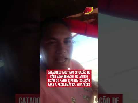 Cães abandonados no antigo lixão de Patos