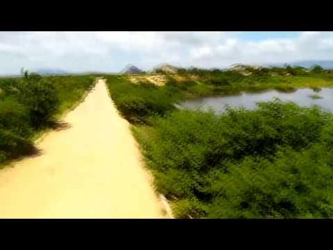 Mato invade balde do Açude do Jatobá, e preocupa transeuntes