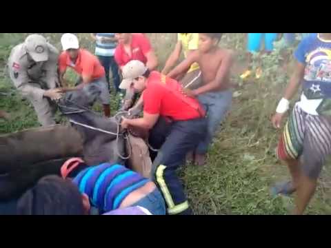 Resgate Jumentinha 2ª Parte