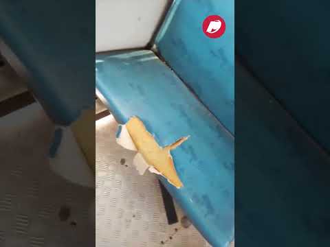 Pais de alunos denunciam condições precárias em ônibus escolar de Santa Gertrudes