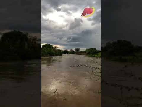 Rio Piancó desce em cheia após forte chuva na tarde desta terça-feira (19) na região de Conceição