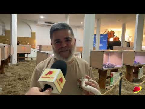 Exposição Serpentes do Mundo é realizada no Guedes Shopping, em Patos. Confira reportagem