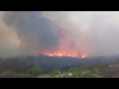 Grandes incêndios na vegetação voltaram a atingir o Sertão