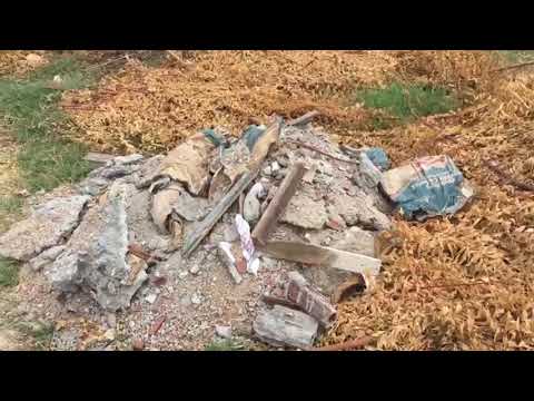 Patosonline com vai até onde o Poder Público precisa se fazer presente