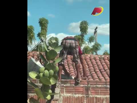 Homem é detido após ser flagrado furtando bica de prédio público municipal, em Patos