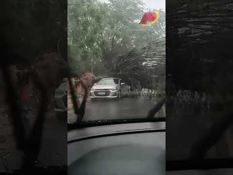 Chuva torrencial acompanhada de ventos fortes atinge cidade de Patos nesta quarta e derruba árvores