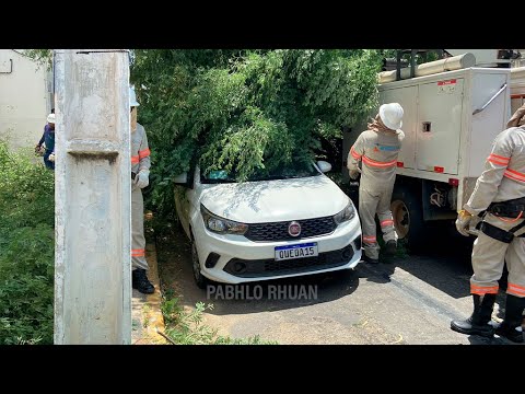 Árvore cai e atinge veículo no centro de Patos na manhã desta segunda-feira (17). Veja Reportagem