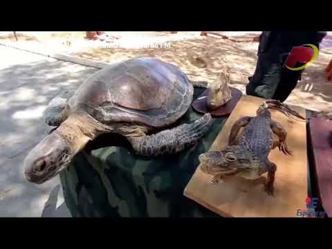 Polícia Ambiental realiza exposição 