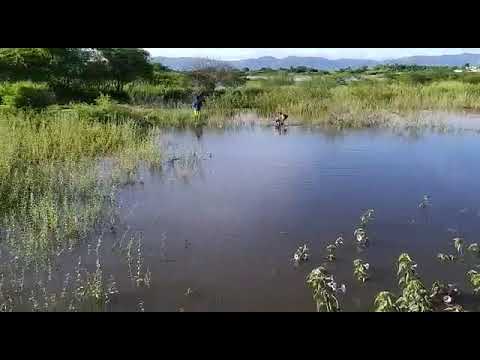 Vegetação e lixo estão presentes no Sangradouro do Jatobá em Patos