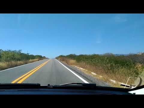 Vegetação invade BR-361