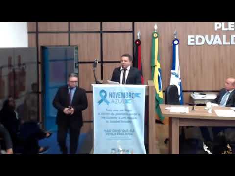 Cadelas de ruas deverão ser castradas em Patos