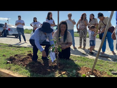UFCG Patos, Mães de Pietá e Secretaria de Meio Ambiente plantam mudas com nome de filhos falecidos
