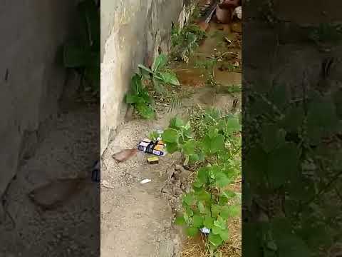 Vídeo mostra local exato onde o corpo de Jozinaldo Queiroga (Naldo) foi encontrado