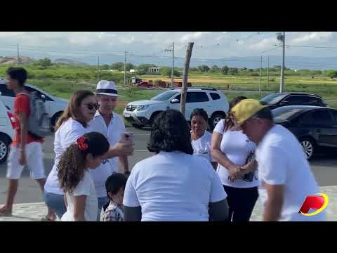 Projeto Árvores da Vida segue plantando mudas na Alça Sudeste, em Patos