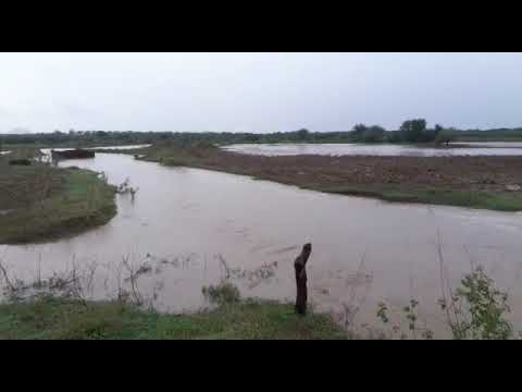 Chuva forte desta sexta (31), faz Rio da Cruz em Patos descer com grande cheia. Veja o vídeo