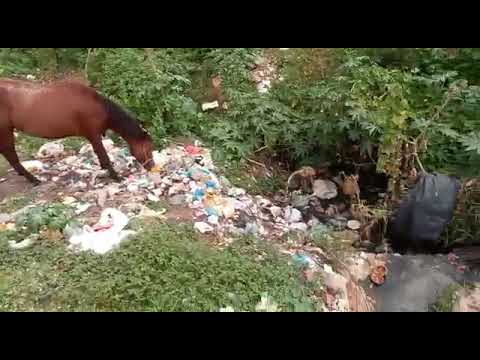 Morador de bairro de Patos, indignado com lixo, esgoto e entulhos, faz vídeo mostrando a situação