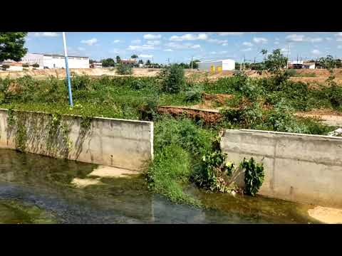 Vegetação, lixo e esgotos domésticos nos canais pluviais de Patos PB. Veja