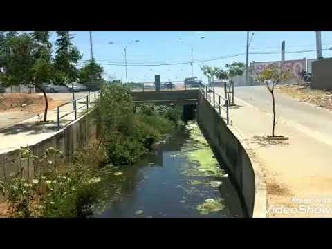 VEGETAÇÃO COMEÇA A OBSTRUIR CANAL DO FRANGO EM PATOS