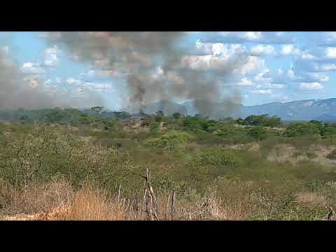 Incêndio destrói vegetação na zona rural de Santa Terezinha-PB nesta dia 31 de dezembro de 2020