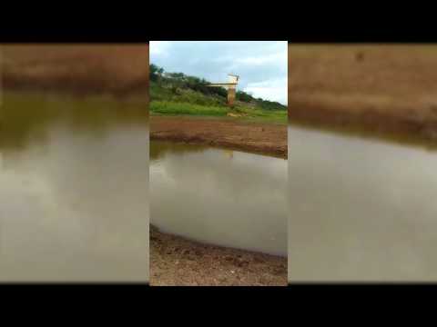 Morador faz apelo por conta de mato que toma conta do açude do Jatobá