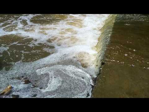 Canal continua levando água da Barragem da Farinha para o Açude do Jatobá