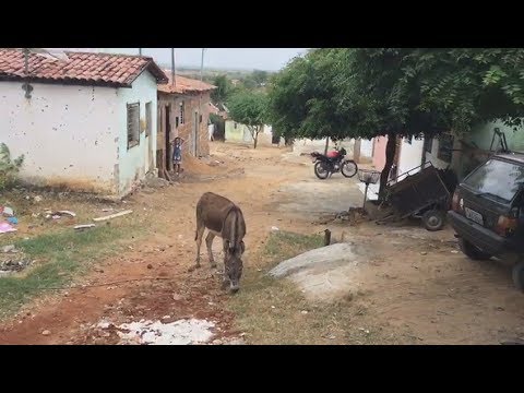 Popular Zezão da boiadeira aponta problemas na zona sul de Patos