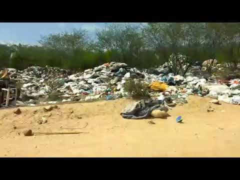 Lixo de Patos forma montes às margem de estarda