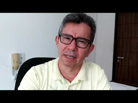 Ataques de abelhas na zona urbana e explosão de fábrica de fogos marcam a semana em Patos