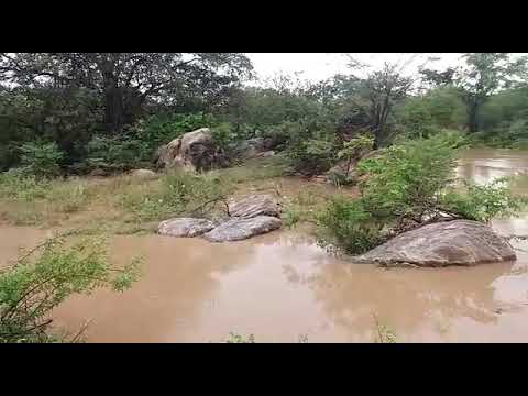 Cheia Rio da Cruz em Patos, 16 de fevereiro de 2019